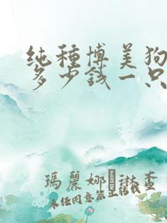 纯种博美狗价格多少钱一只