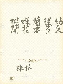 蝴蝶兰从幼苗到开花要多久