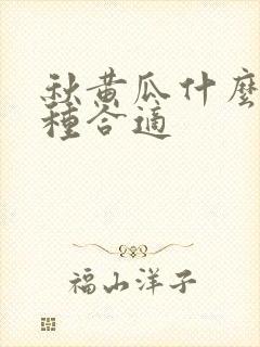 秋黄瓜什么时候种合适