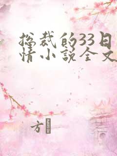 总裁的33日索情小说全文阅读