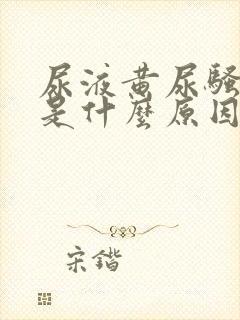 尿液黄尿骚味大是什么原因