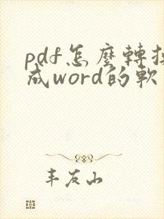 pdf怎么转换成word的软件