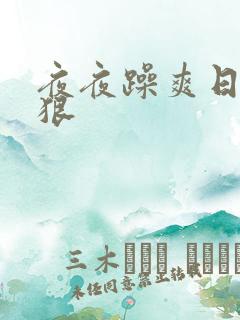 夜夜躁爽日日躁狠