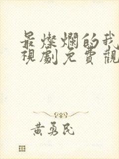 最灿烂的我们电视剧免费观看