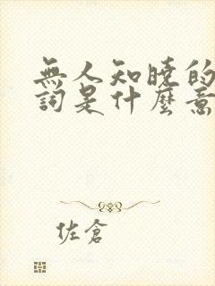 无人知晓的我歌词是什么意思