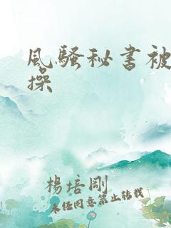 风骚秘书被老板操