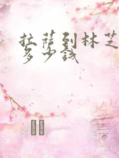 拉萨到林芝包车多少钱