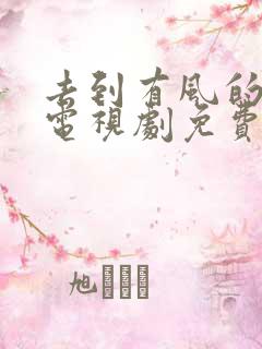 去到有风的地方电视剧免费观看