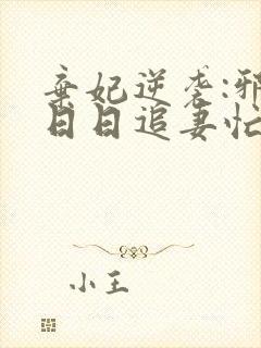 弃妃逆袭:邪王日日追妻忙txt下载