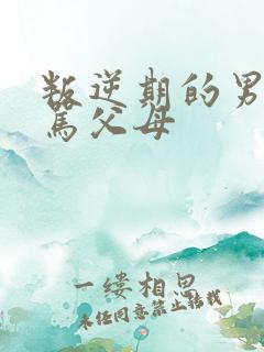 叛逆期的男孩子骂父母
