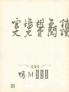 官场权色销魂全文免费阅读最新章节