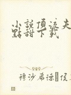 小说顶流夫妇有点甜下载