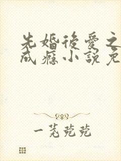 先婚后爱之宠妻成瘾小说免费阅读