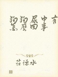 狗狗尿中有血是怎么回事