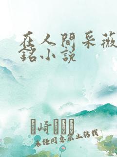 在人间采薇陆勇铭小说