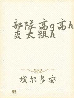 部队高g高h太爽太粗h