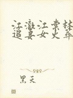 江澈江棠林晚晚追妻女火葬场没追到