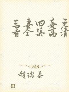 三妻四妾免费观看全集高清中文版