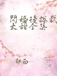 闪婚后总裁娇妻太甜全集