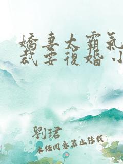 娇妻太霸气,总裁要复婚 小说