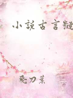 小说古言糙汉文