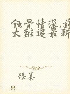 蚀骨情深,前妻太难追最新版