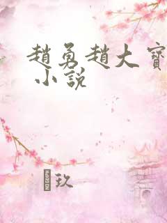 赵勇赵大宝苏媚 小说