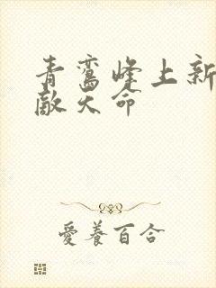 青鸾峰上新书无敌天命