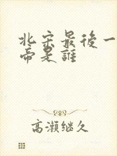 北宋最后一任皇帝是谁