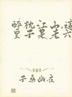 醉枕江山,这个皇子是老六()