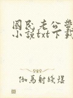 国民老公带回家小说txt下载