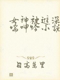 女神被进深处娇喘呻吟小说