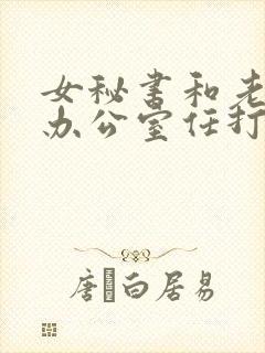 女秘书和老板在办公室任打