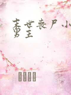 末世丧尸小说双男主