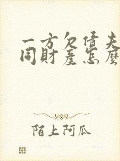 一方欠债夫妻共同财产怎么执行