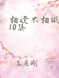 相逢不相识短剧10集
