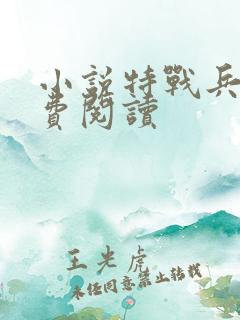 小说特战兵王免费阅读