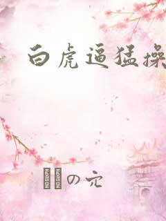 白虎逼猛操