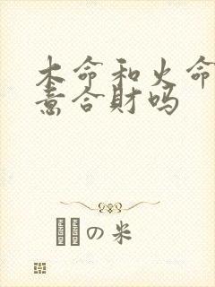 木命和火命做生意合财吗