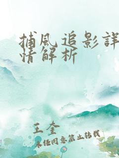 捕风追影详细剧情解析