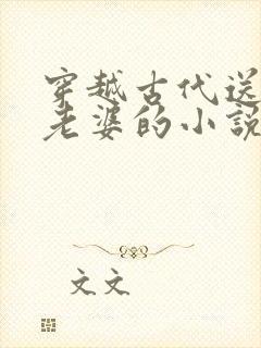 穿越古代送三个老婆的小说叫什么