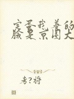 完蛋我养的小白脸是京圈大佬短剧免费