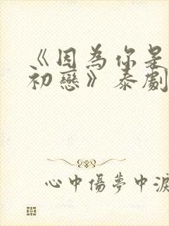 《因为你是我的初恋》泰剧在线观看