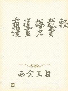 霸道总裁轻轻爱漫画免费