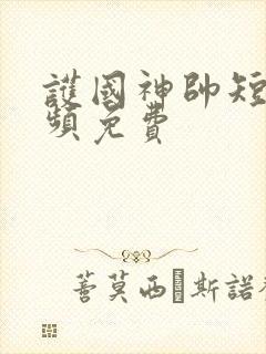 护国神帅短剧视频免费