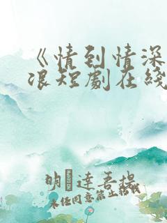《情到情深》沈浪短剧在线观看