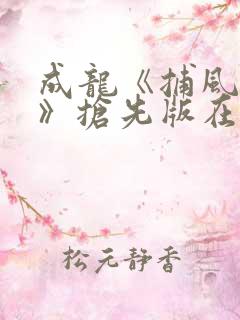 成龙《捕风追影》抢先版在线观看