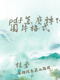 pdf怎么转化图片格式