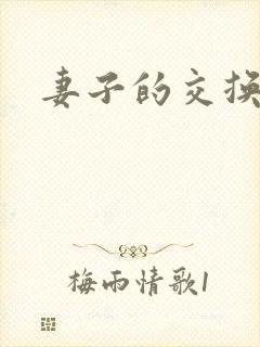 妻子的交换性