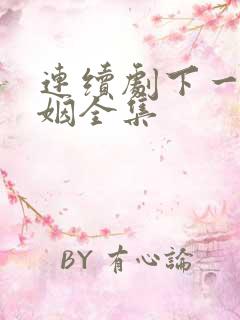 连续剧下一站婚姻全集